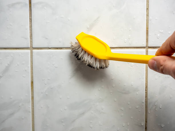 Best Residential Mold Remediation in Bad Axe, MI
