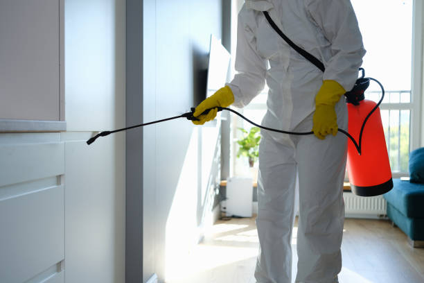 Best Post-Flood Mold Remediation in Bad Axe, MI